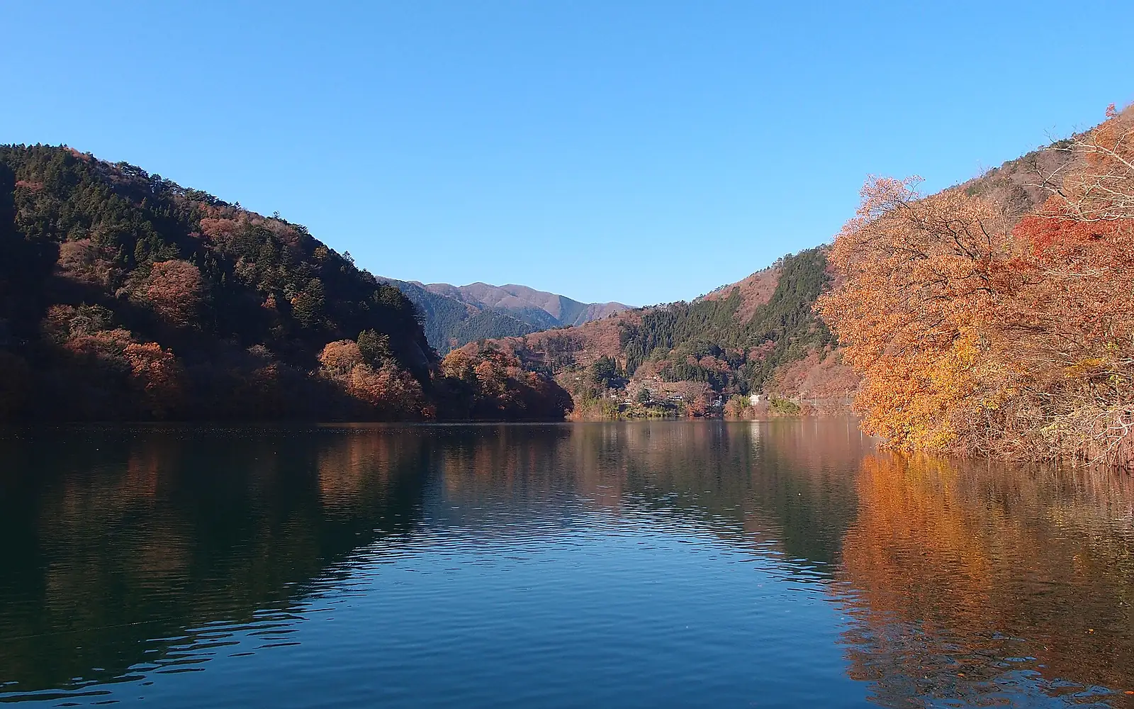 Floating Bridge @ Lake Okutama (11206278524)