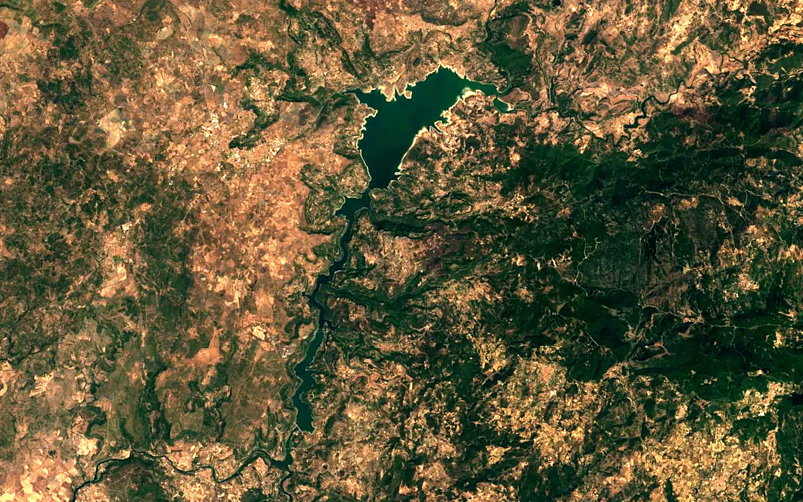 Lake Omodeo seen from space (Sentinel-2)