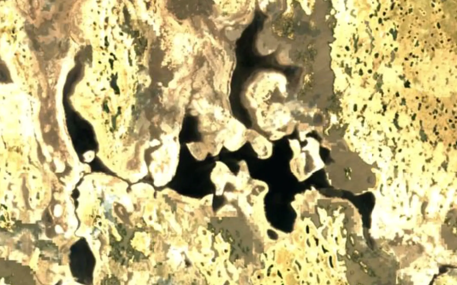 Lake Oponona seen from space (Sentinel-2)