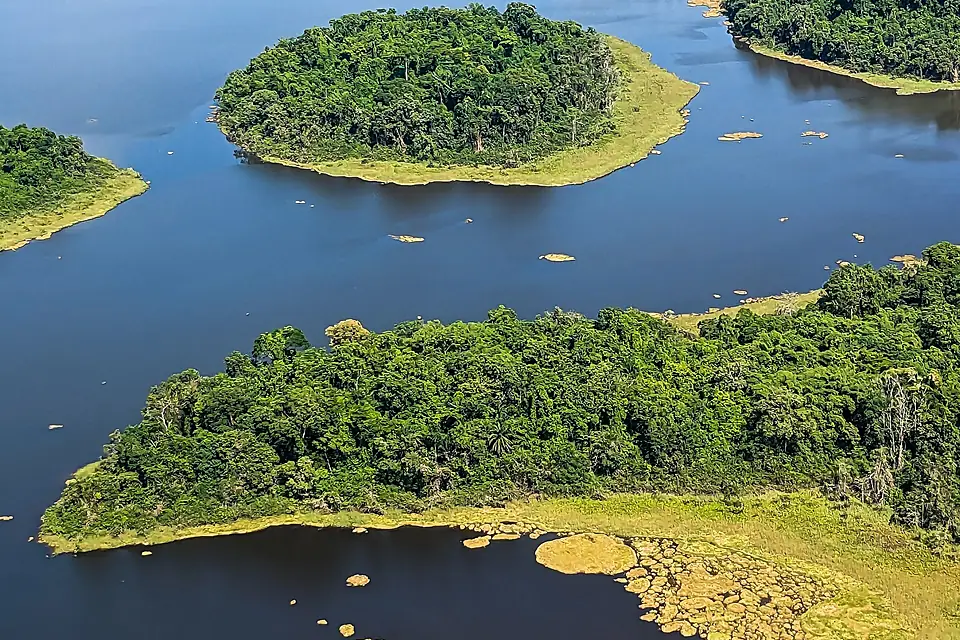 Lac Ossa - Réserve de faune du Lac Ossa - Région du Littoral - Cameroun