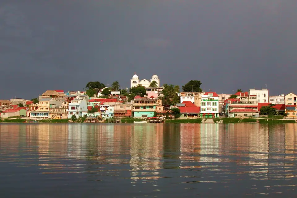 Flores del llac