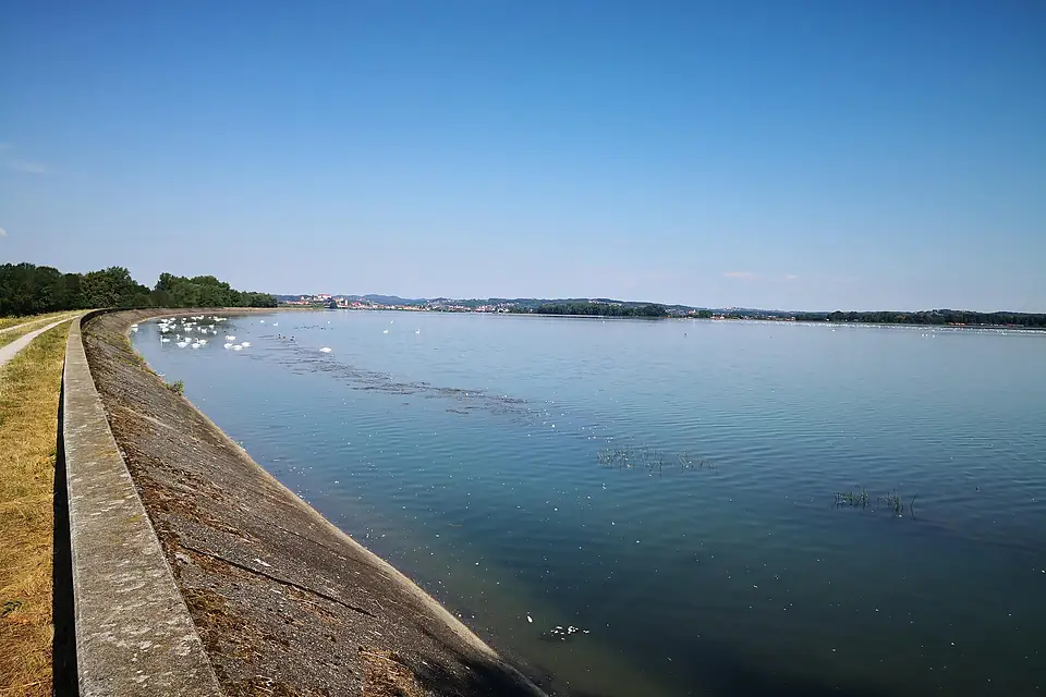 Mestni log Ptuj ČB 02