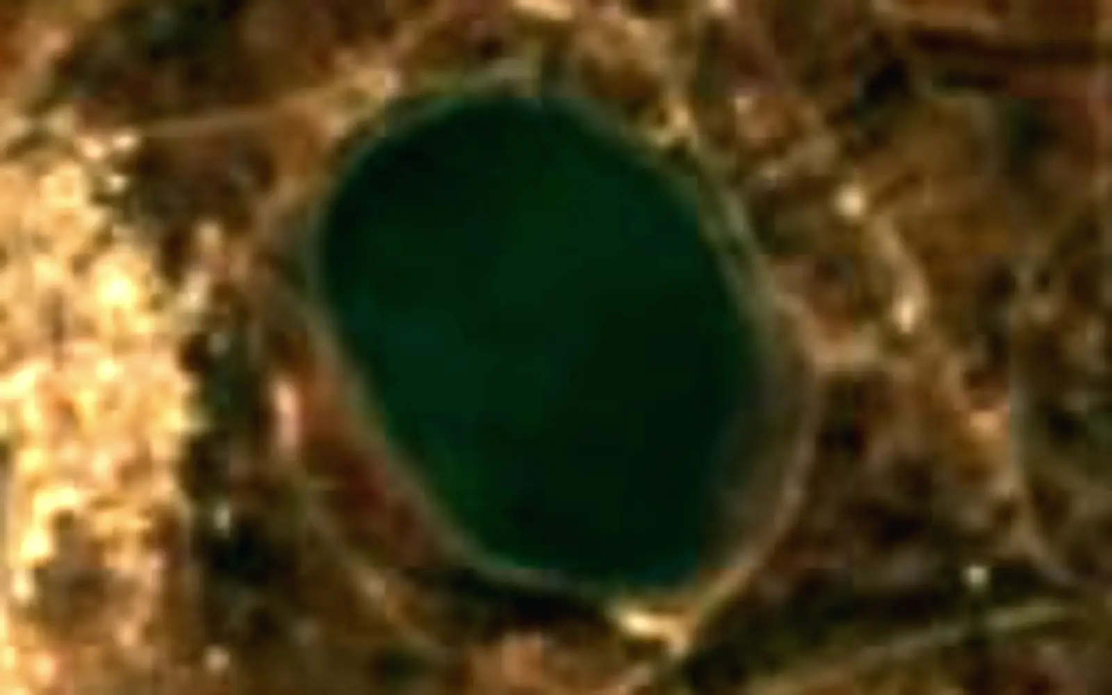 Lake Ram seen from space (Sentinel-2)