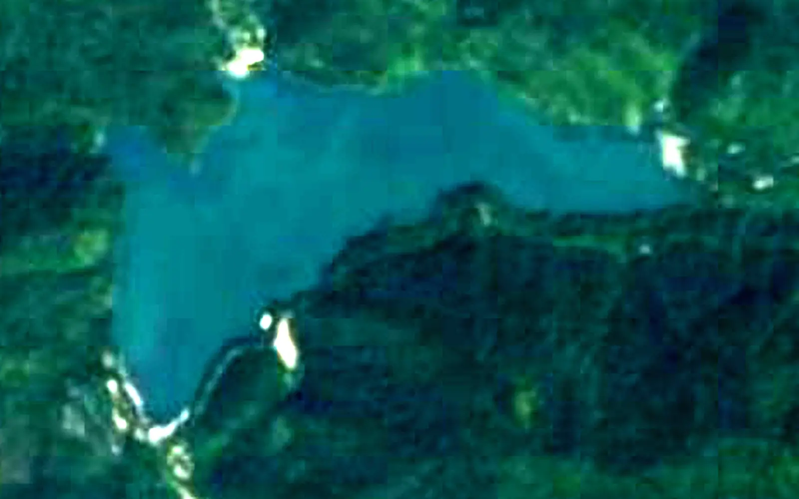 Lake Ritsa seen from space (Sentinel-2)