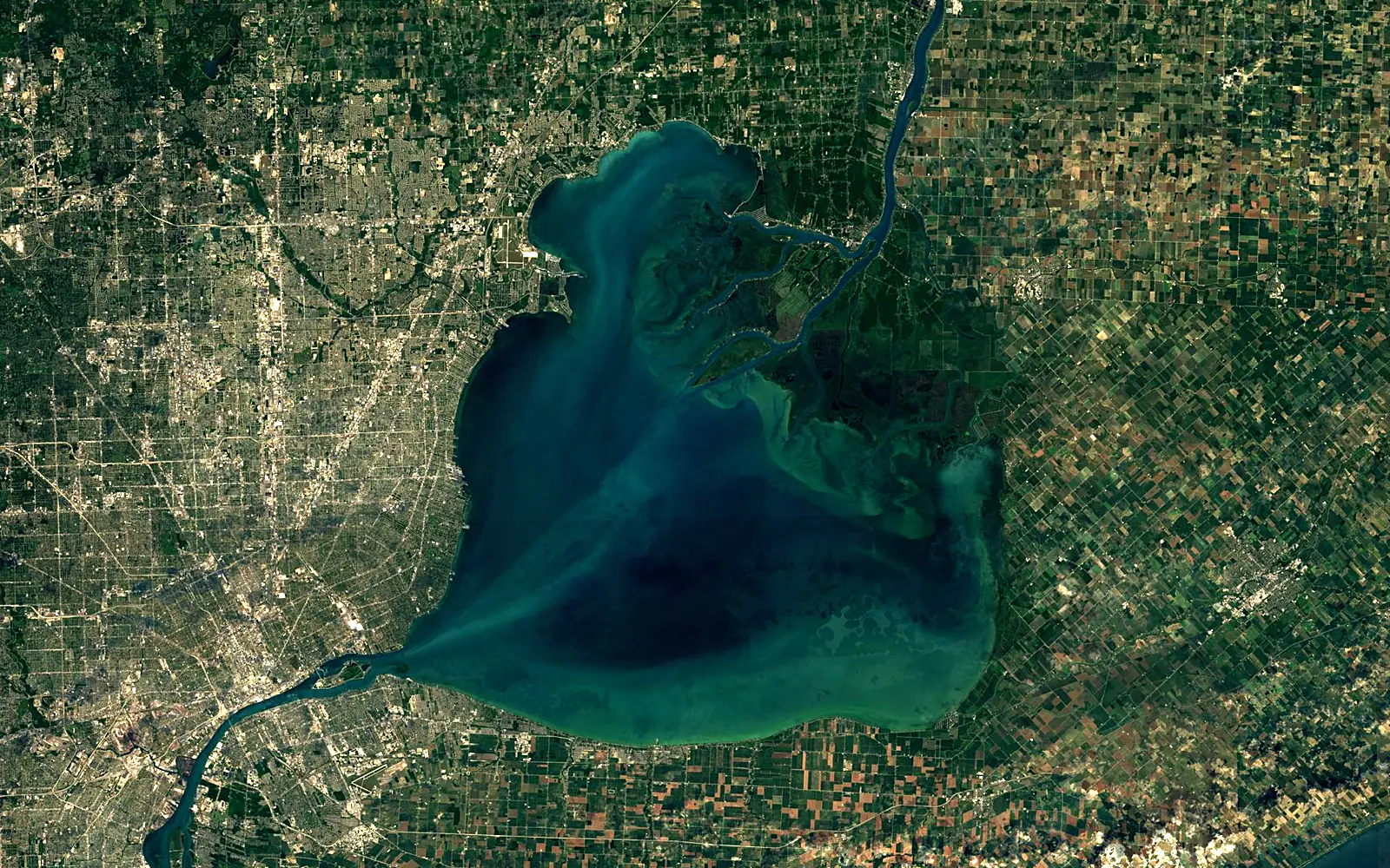 Lake Saint Clair seen from space (Sentinel-2)