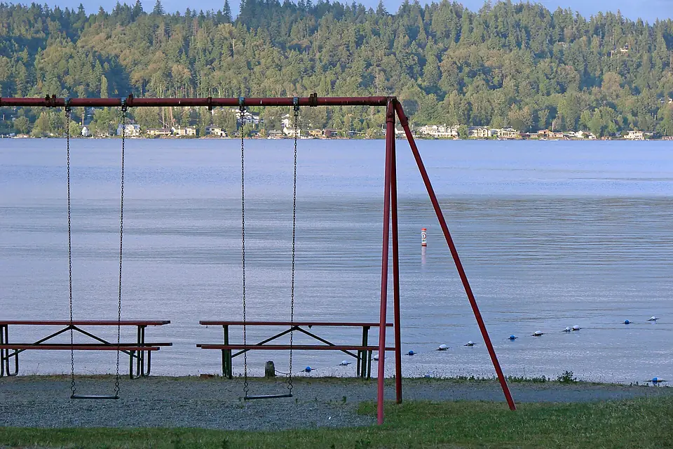 Lake Sammamish - Swing (635521538)
