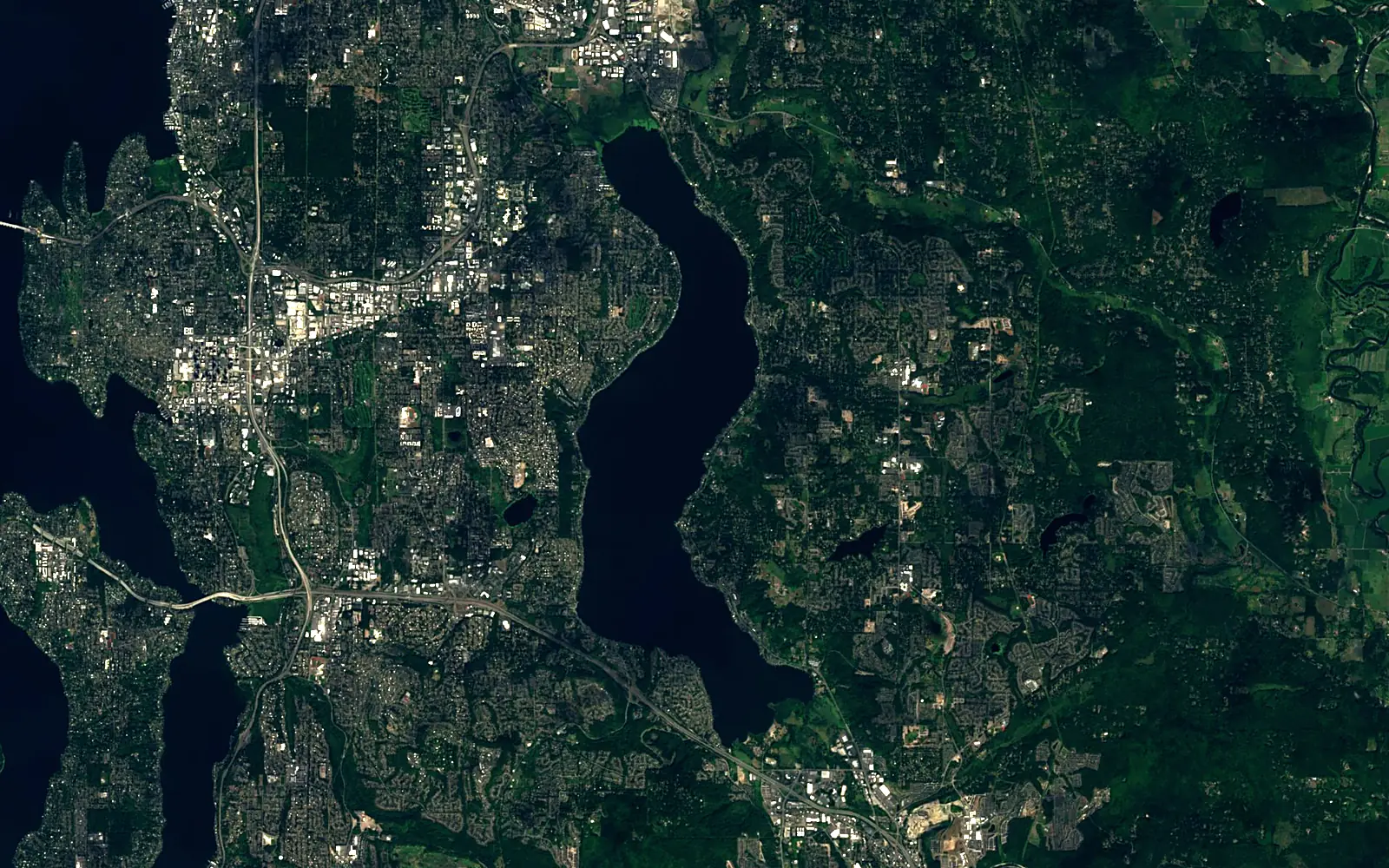 Lake Sammamish seen from space (Sentinel-2)