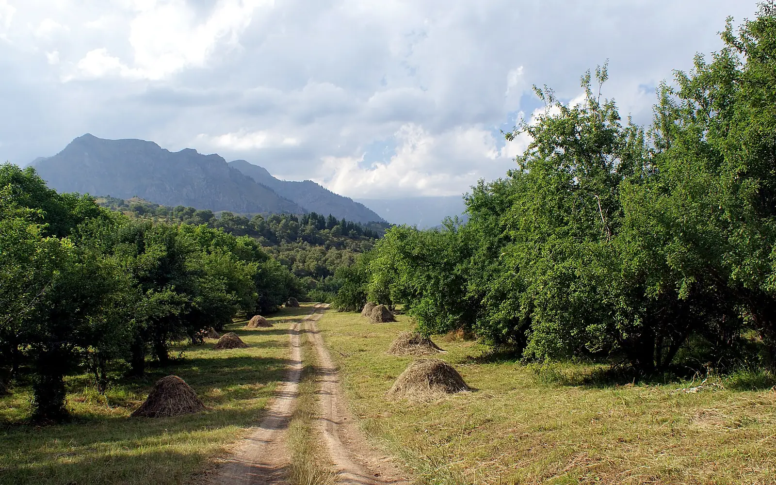Path near Sary Chelek