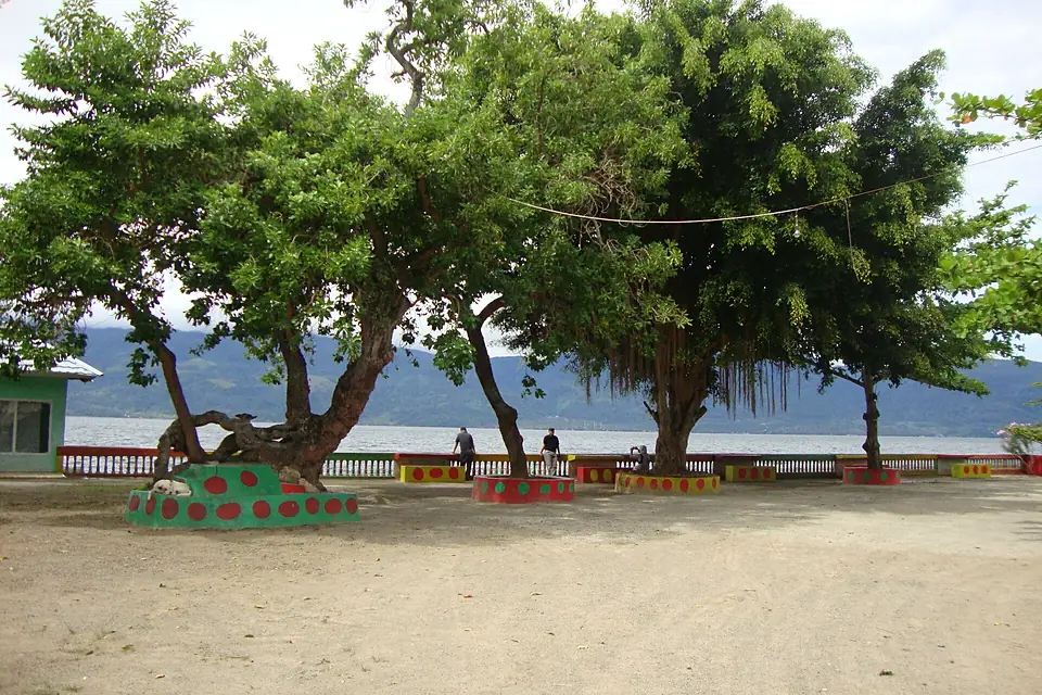 Beringin Singkarak - panoramio