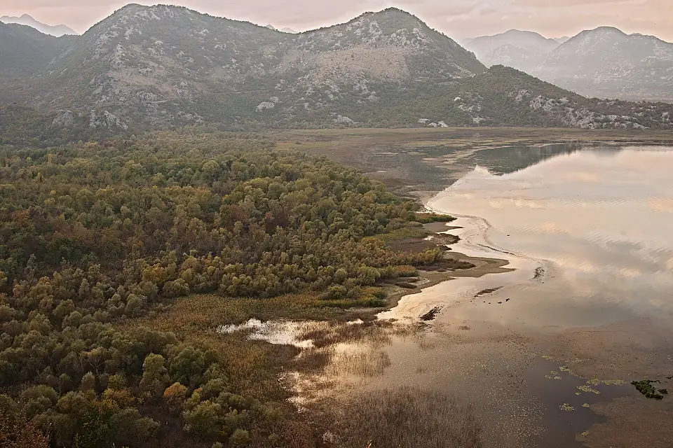 Autumn colours at Lake Skadar, Montenegro (6337544395)