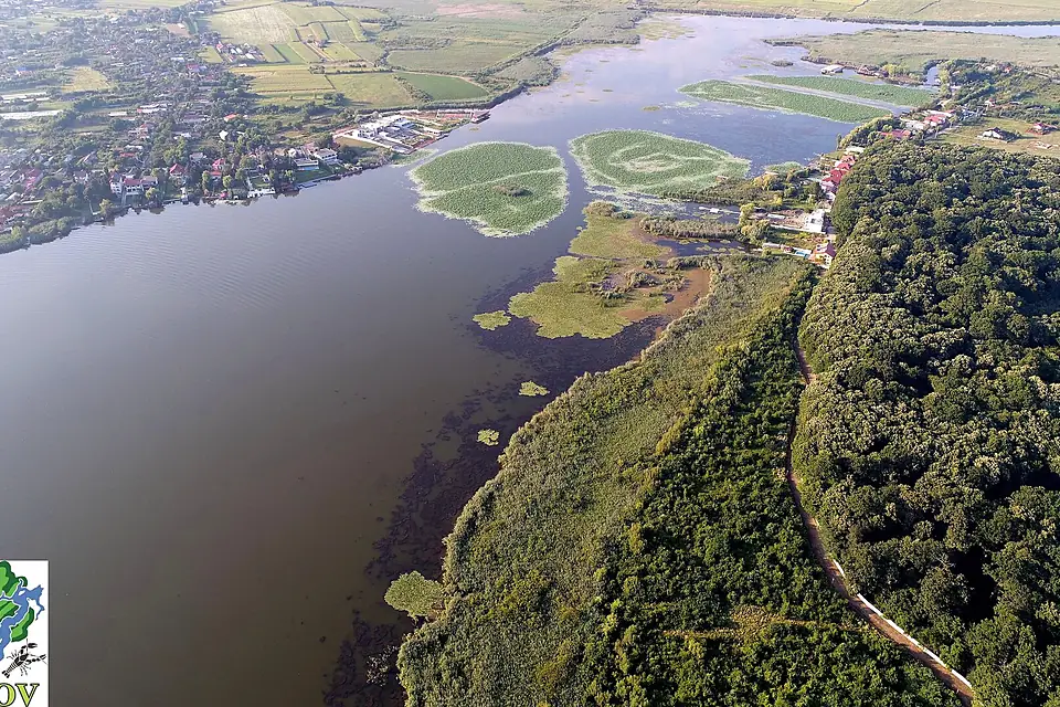 Snagov - Lac - Delta Snagovului - Aval