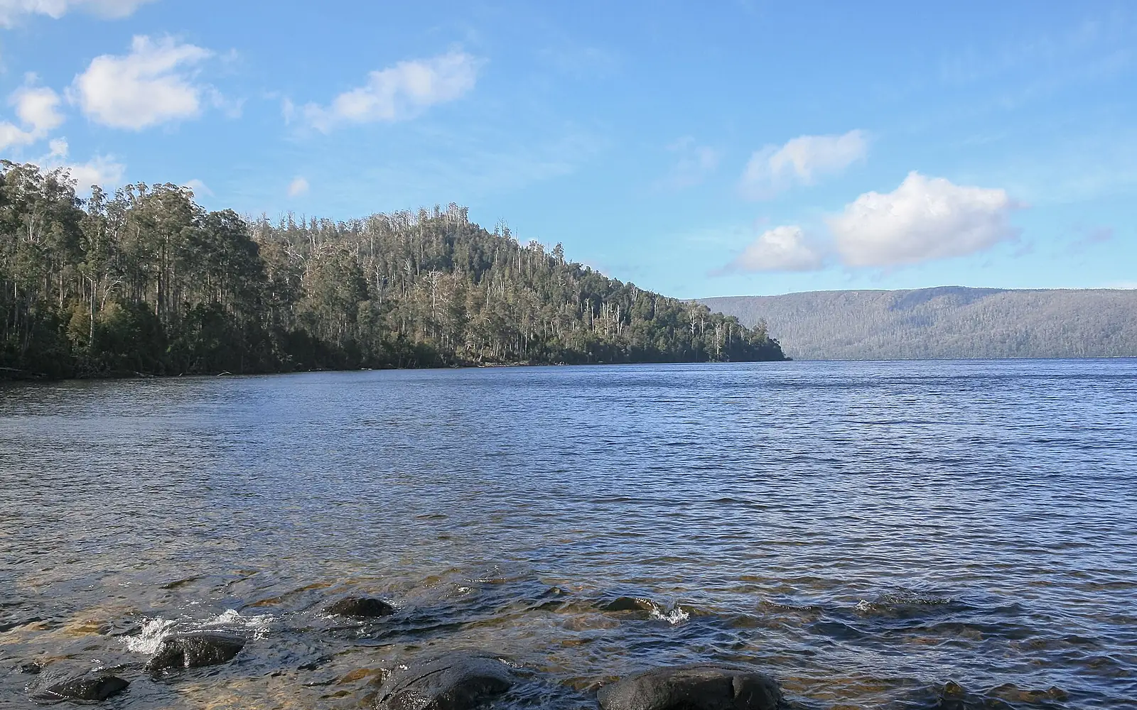 Parque Nacional Lago St Clair-Tasmania-Australia01