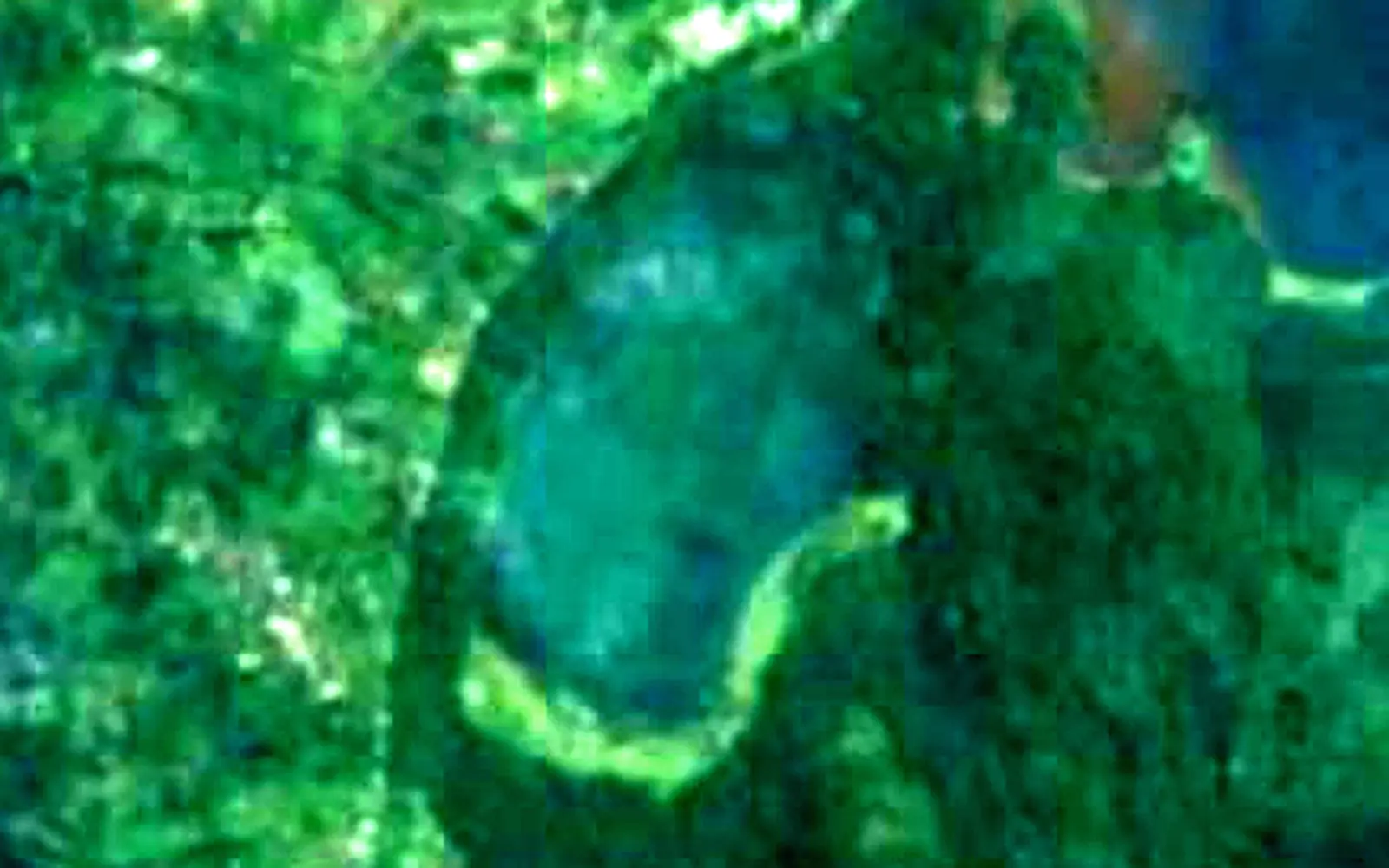 Lake Tamblingan seen from space (Sentinel-2)
