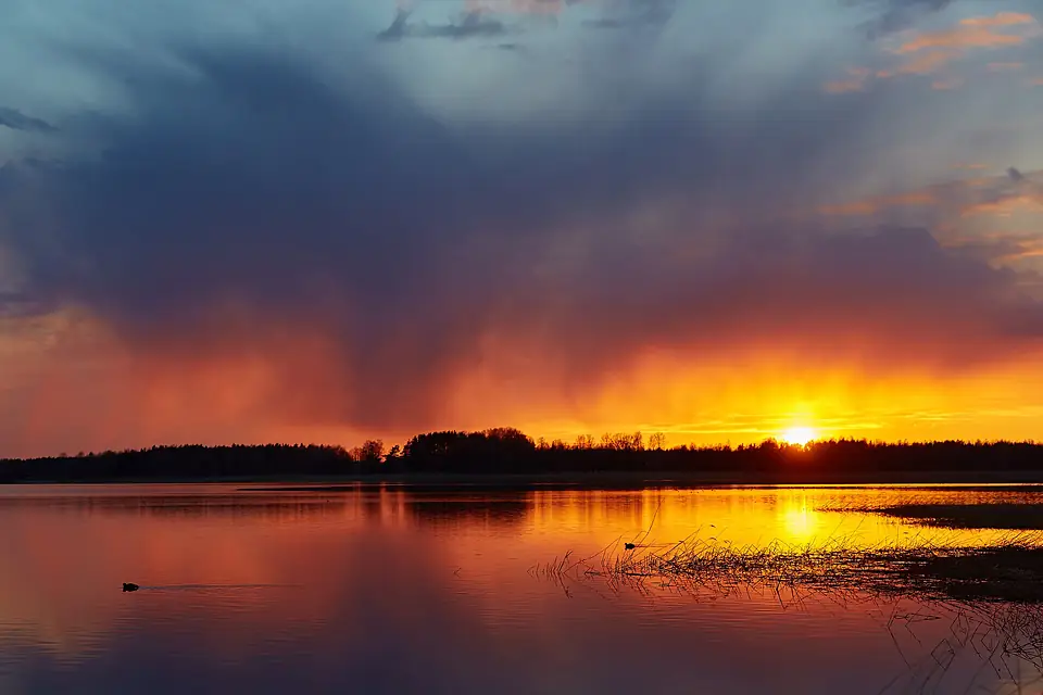 Tamula järv 2017