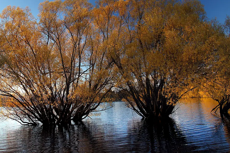 Autumn at Lake Tekapo NZ (1) (8670153841)
