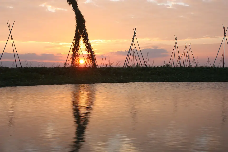 Near Sengkang, Danau Tempe (6969198411)