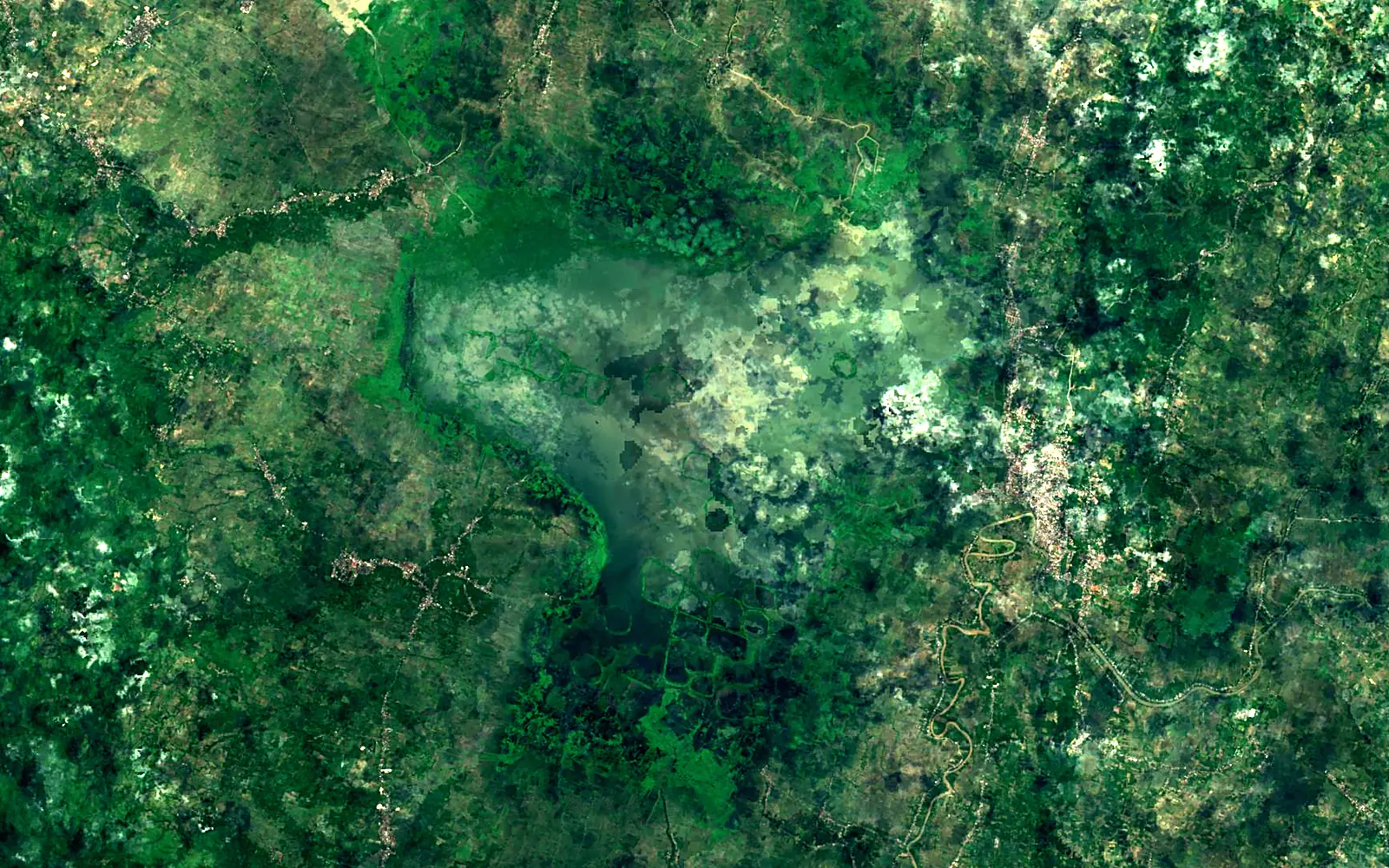 Lake Tempe seen from space (Sentinel-2)