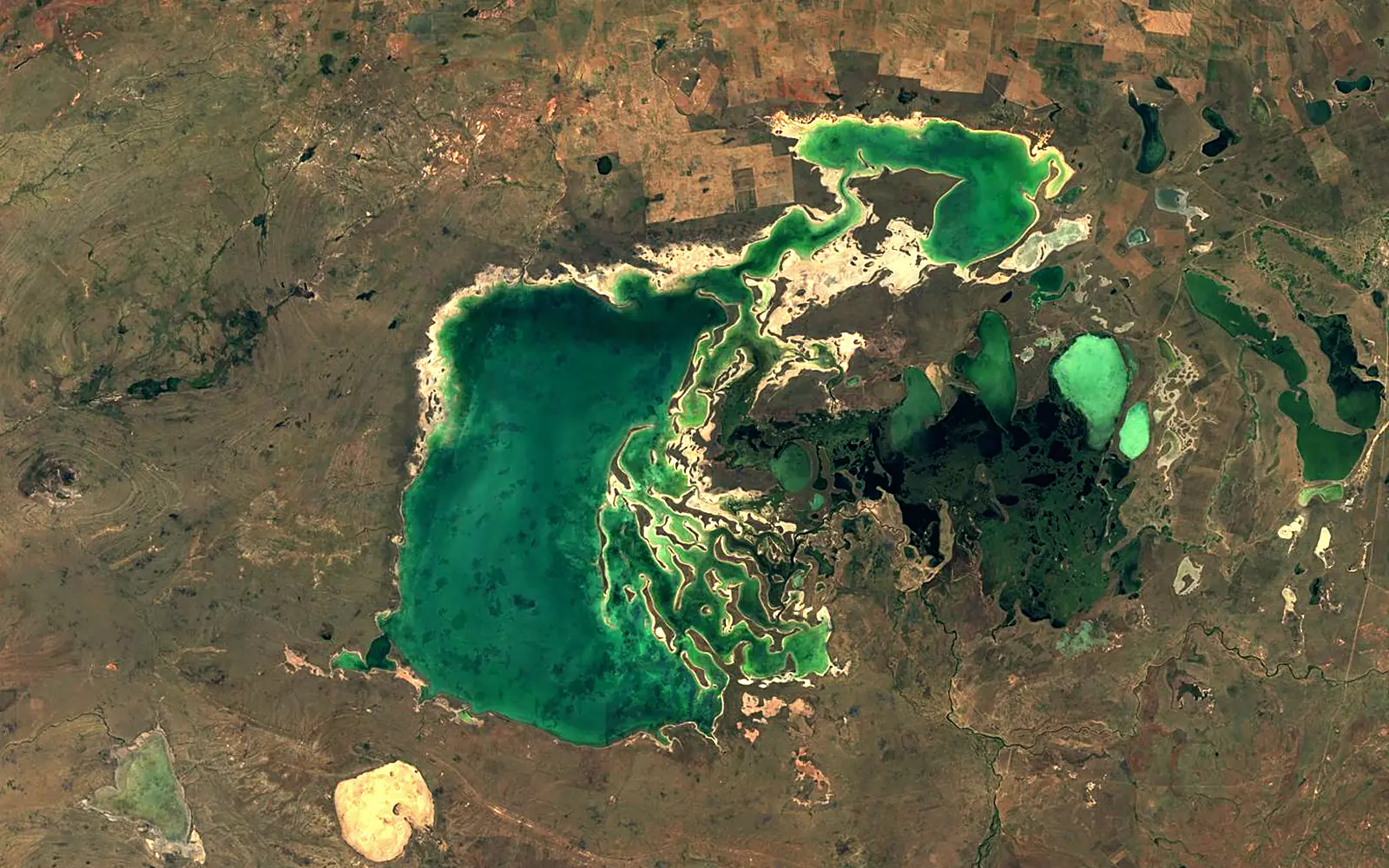 Lake Tengiz seen from space (Sentinel-2)