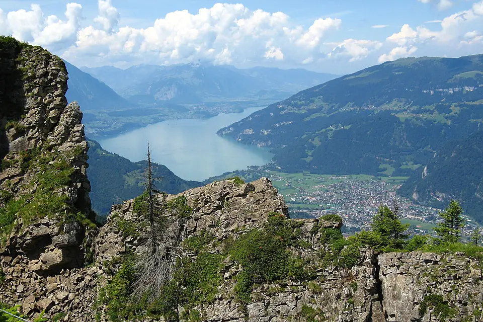 1008L Thunersee Schynigge Platte
