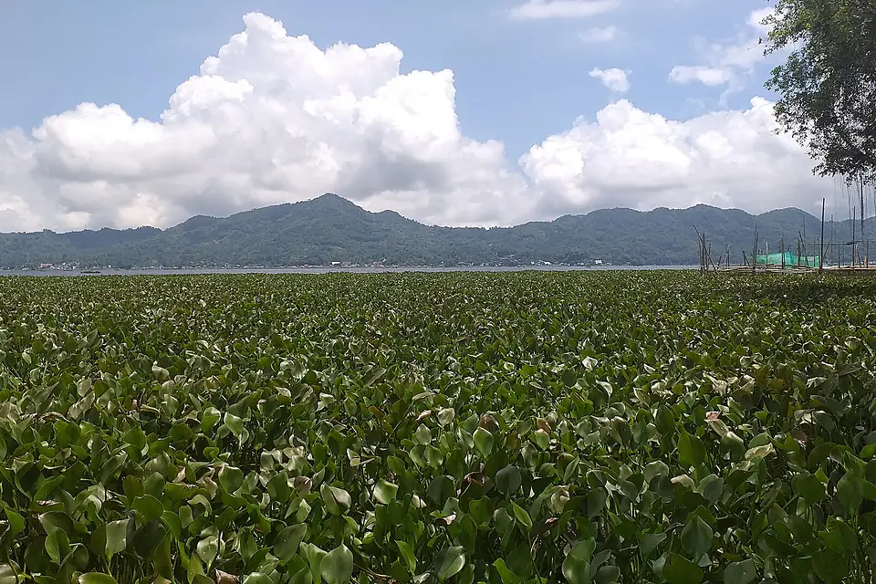 Danau Tondano 2