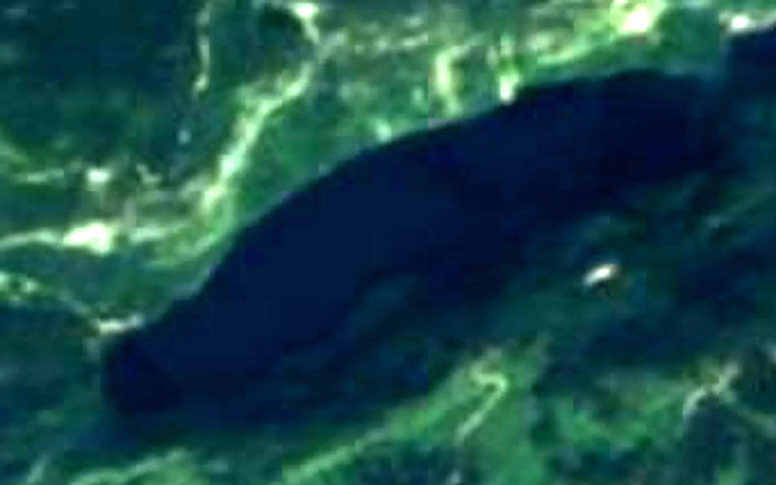 Lake Toplitz seen from space (Sentinel-2)