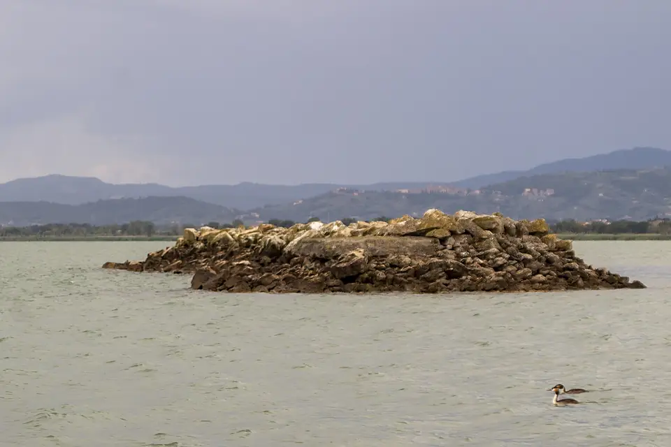 Anatre al Lago Trasimeno