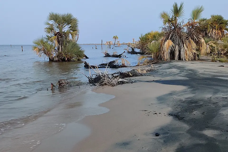 Eliye Springs beach, lake Turkana.