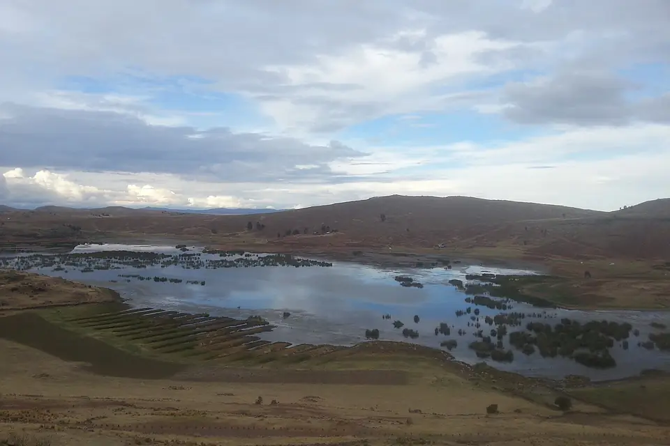Umayo-See