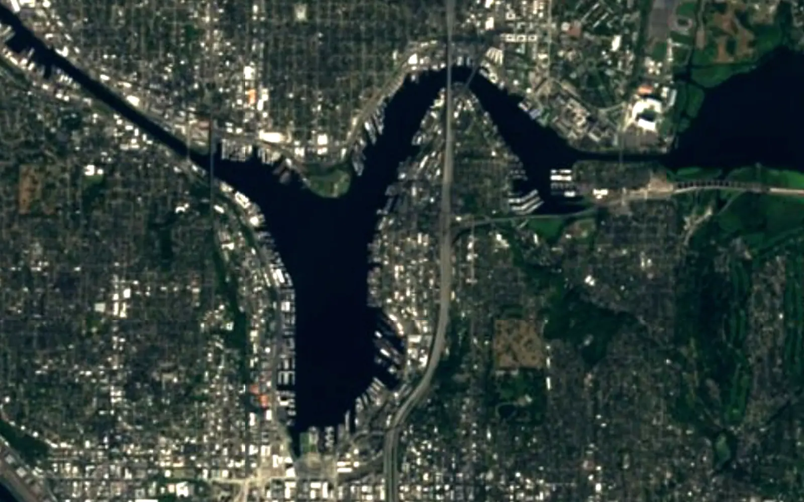 Lake Union seen from space (Sentinel-2)