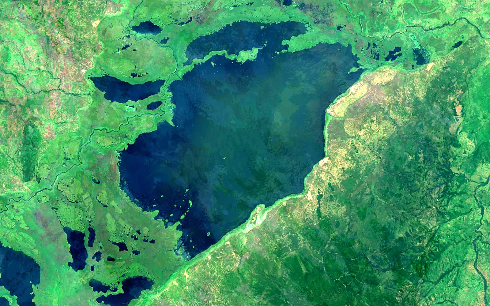 Lake Upemba seen from space (Sentinel-2)