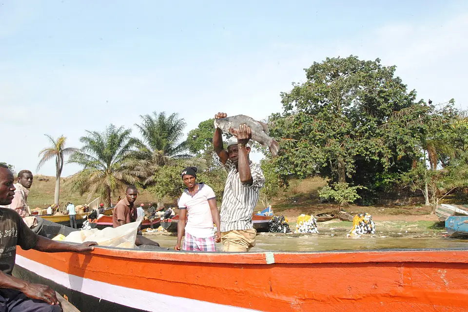 Fishing on lake Victoria 04