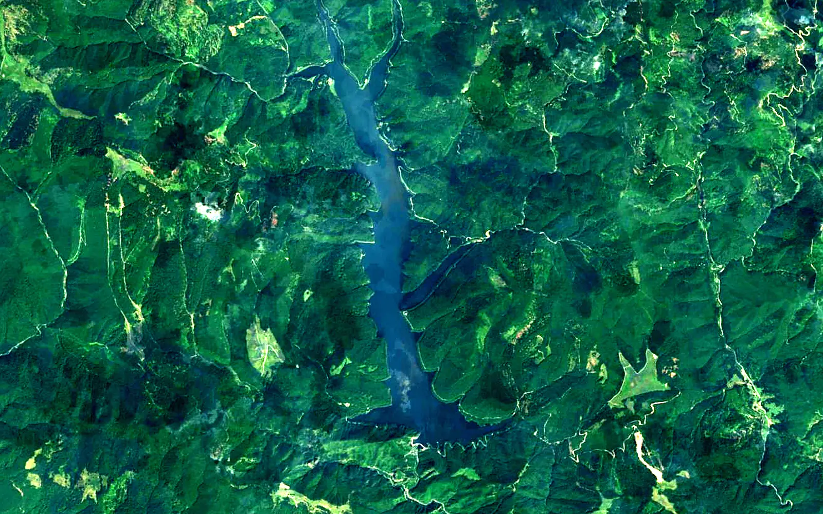 Lake Vidraru seen from space (Sentinel-2)
