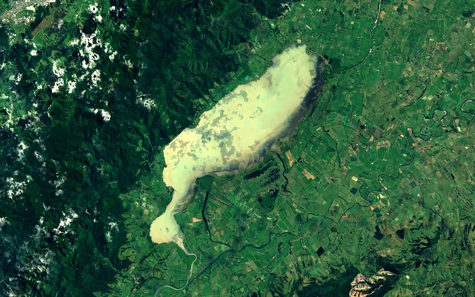 Lake Wairarapa seen from space (Sentinel-2)