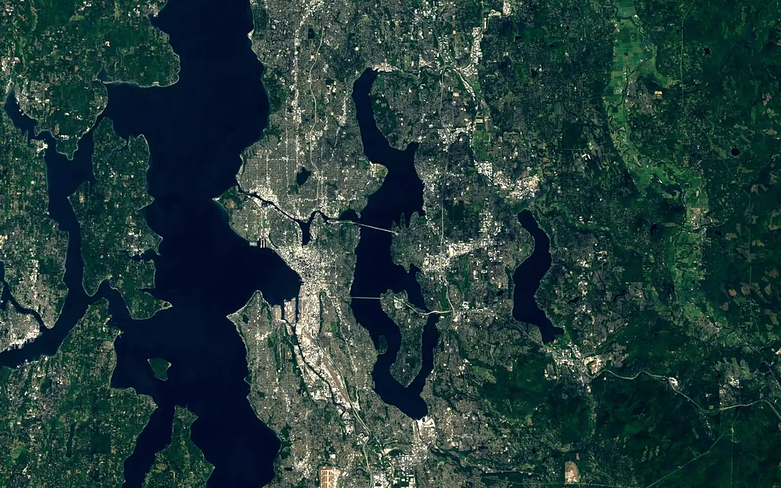 Lake Washington seen from space (Sentinel-2)