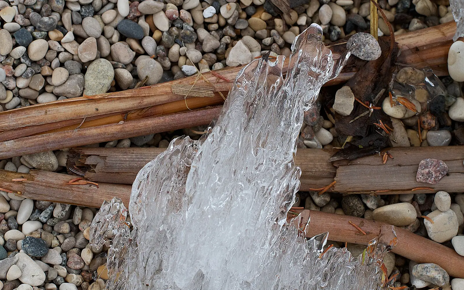 2014-365-134 On The Shores of Lake Winnipeg (14166579586)