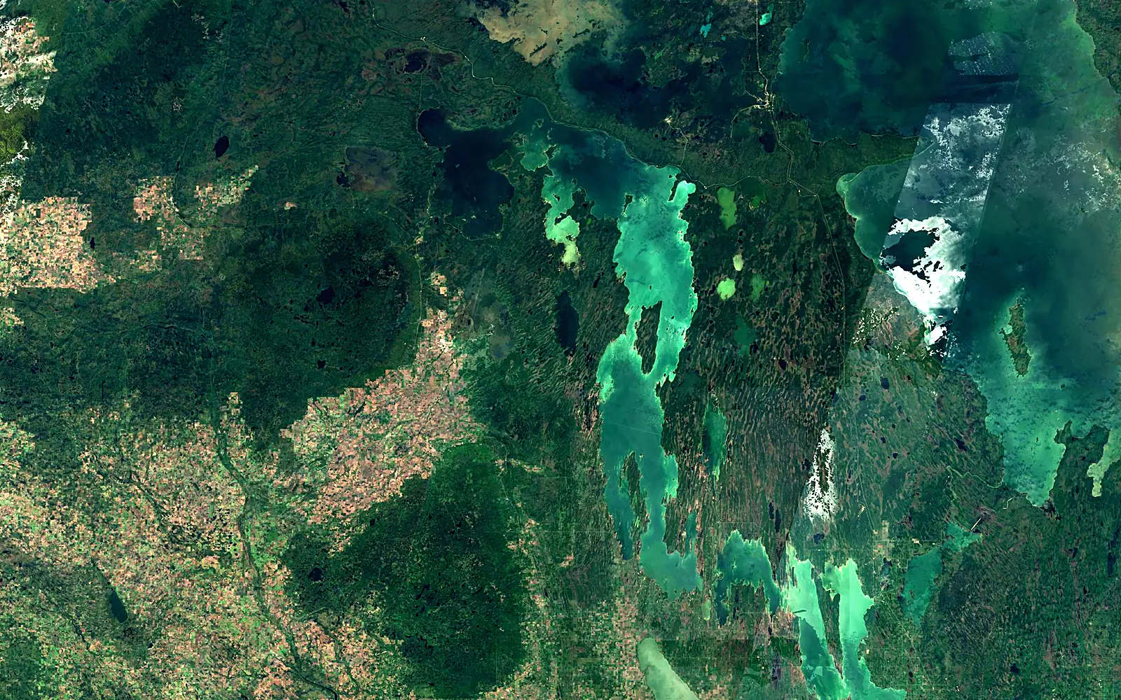 Lake Winnipegosis seen from space (Sentinel-2)