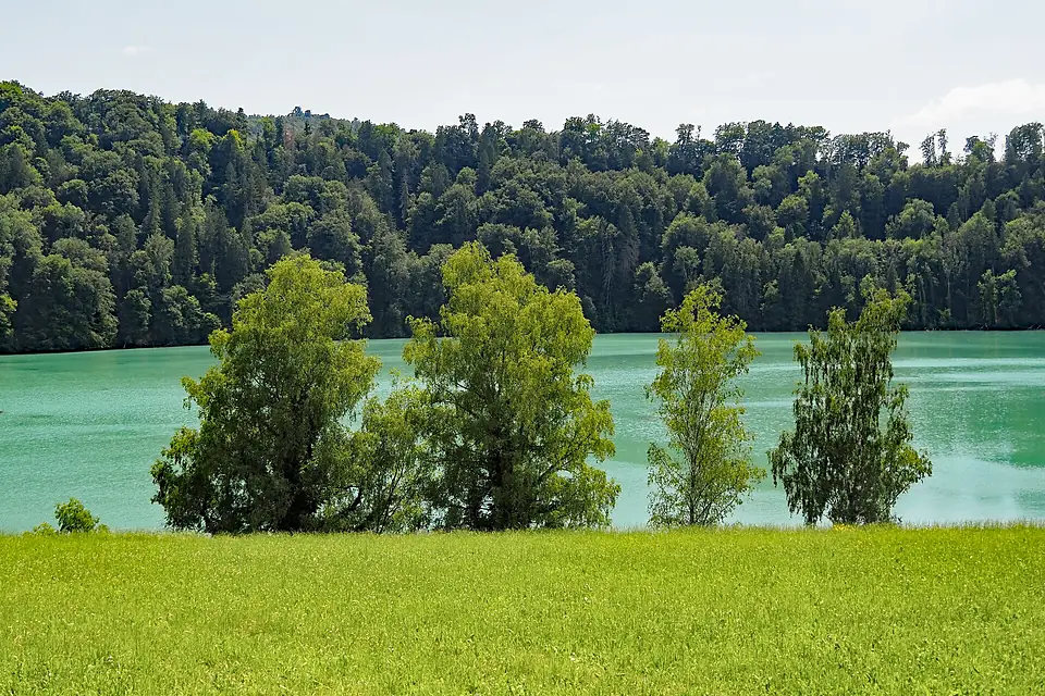 Aurain am Wohlensee