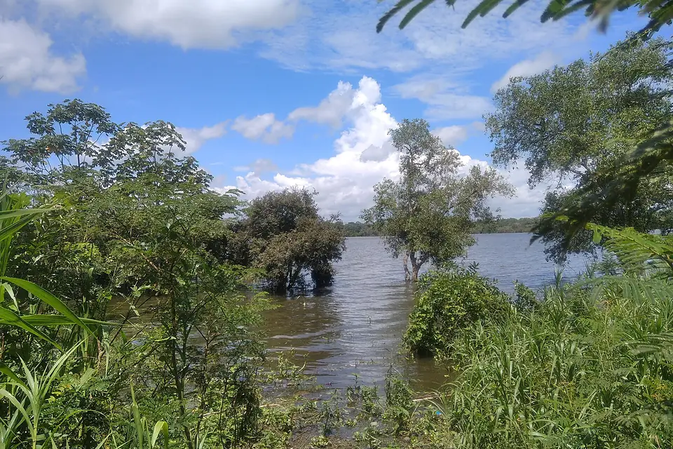 Laguna de Yarinacocha desde el Instituto Superior Pedagógico Público Bilingue de Yarinacocha 01