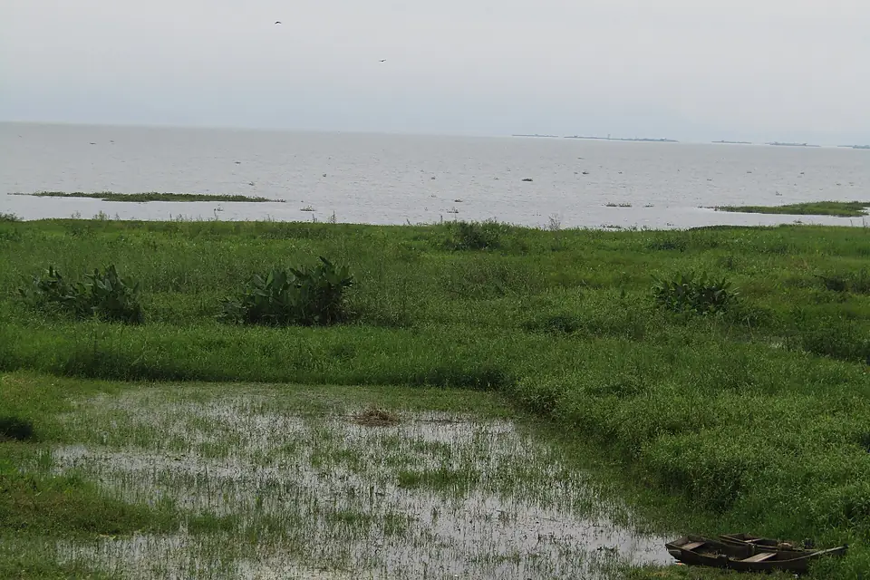 Lake Yojoa Shore