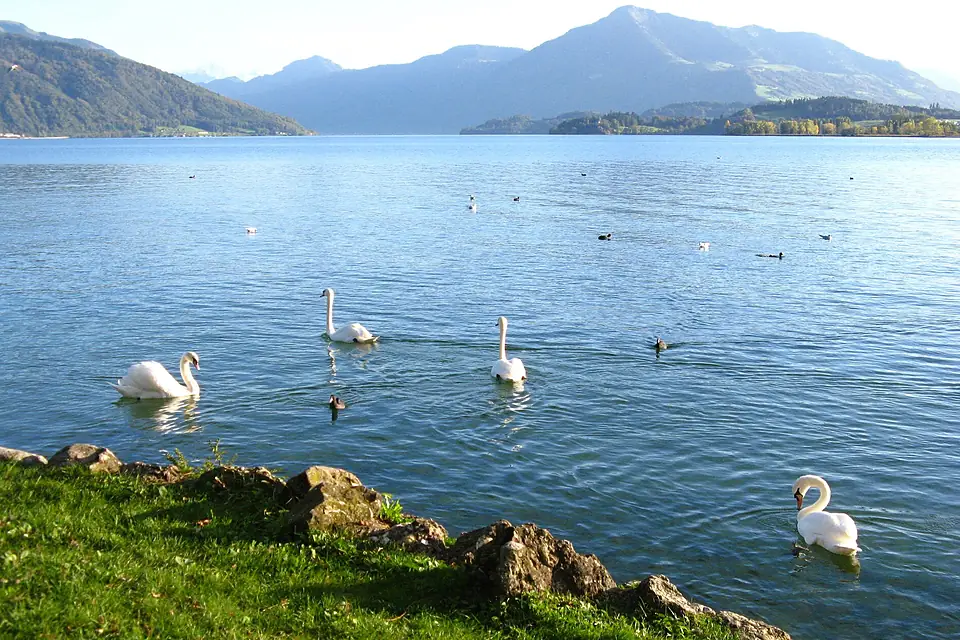 1010L Zugersee Cham