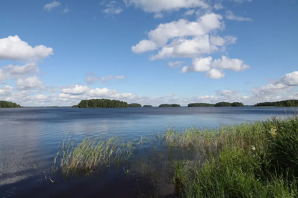 Lestijärvi 1