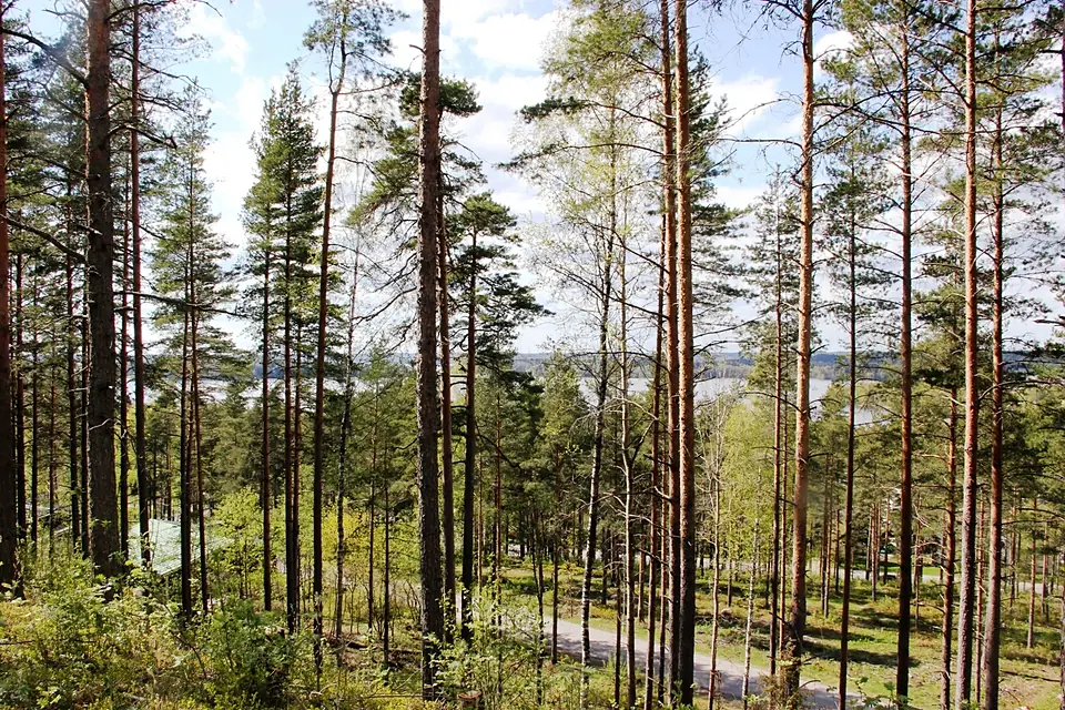 Lohjanharju to Lohjanjärvi
