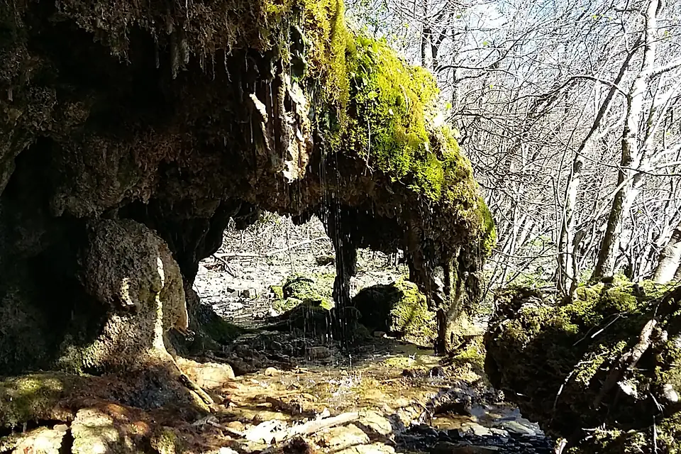 Exploring The Shores of Lough Allen. Discover Nature at its purest