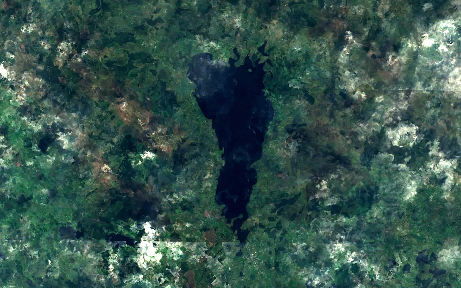 Lough Allen seen from space (Sentinel-2)