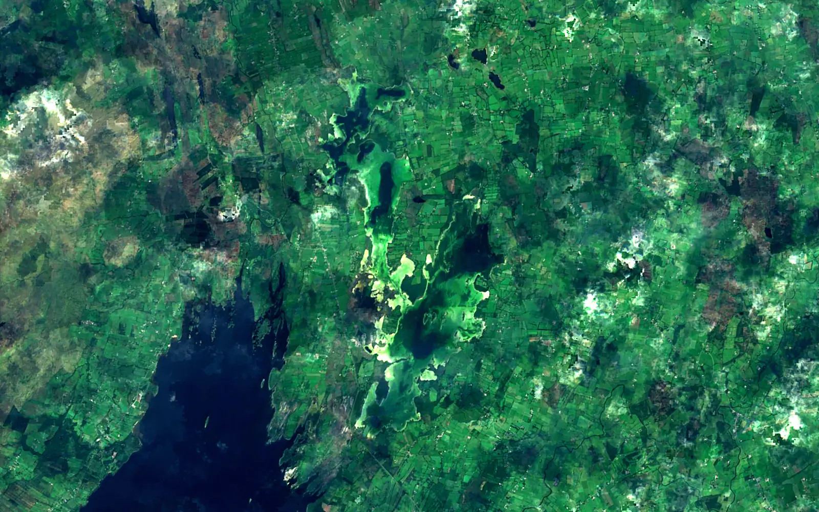 Lough Carra seen from space (Sentinel-2)