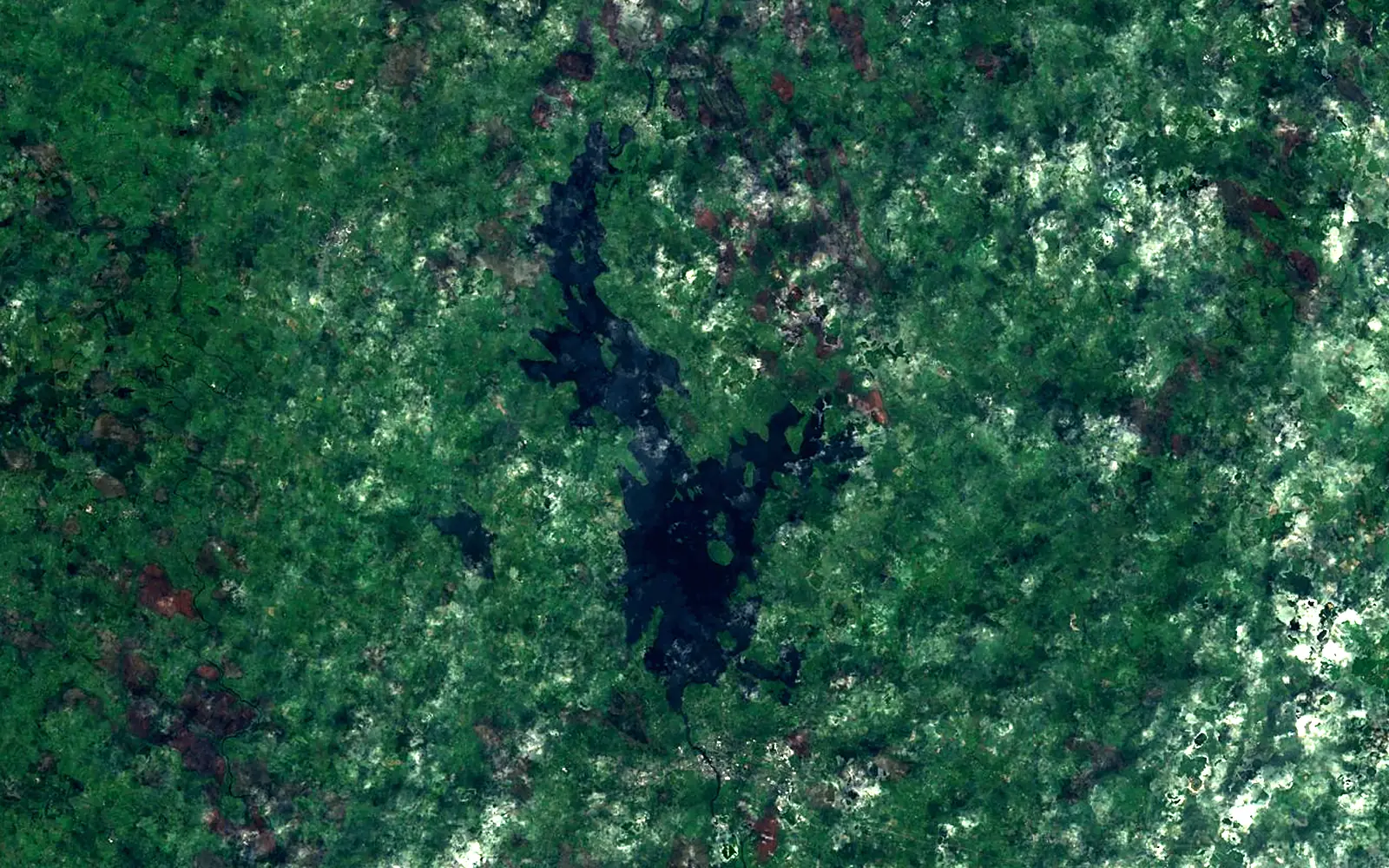 Lough Ree seen from space (Sentinel-2)