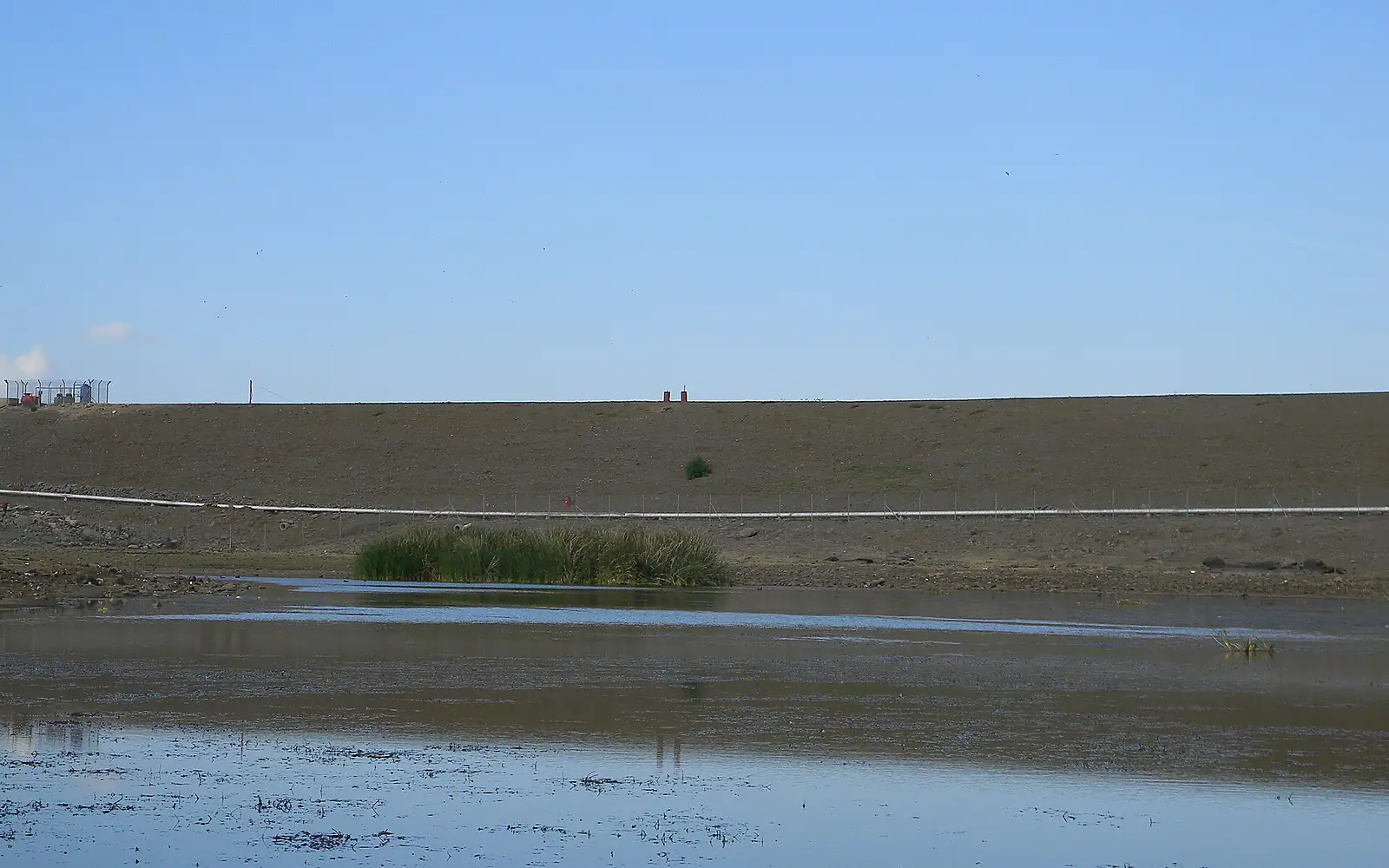 Dalton Maar (1)