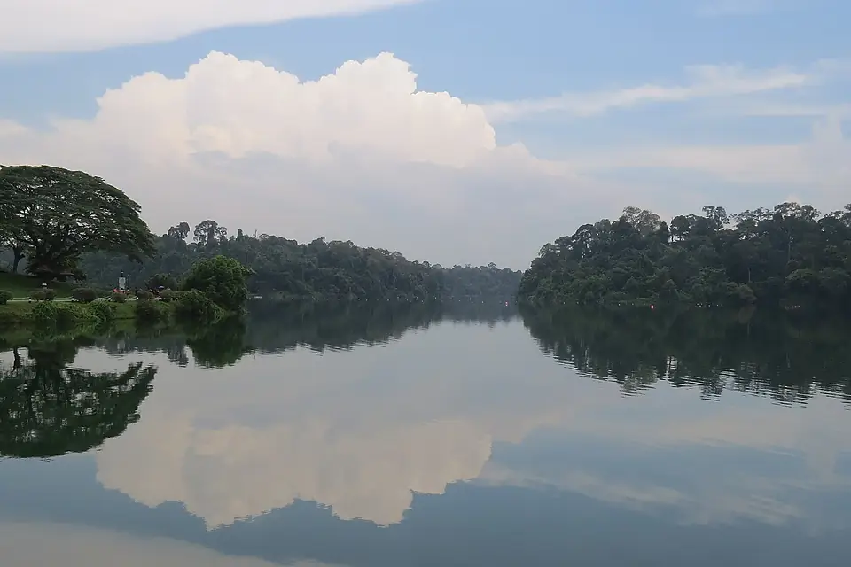 MacRitchie Reservoir - panoramio