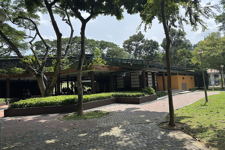 MacRitchie Reservoir 08-08-2025(1)