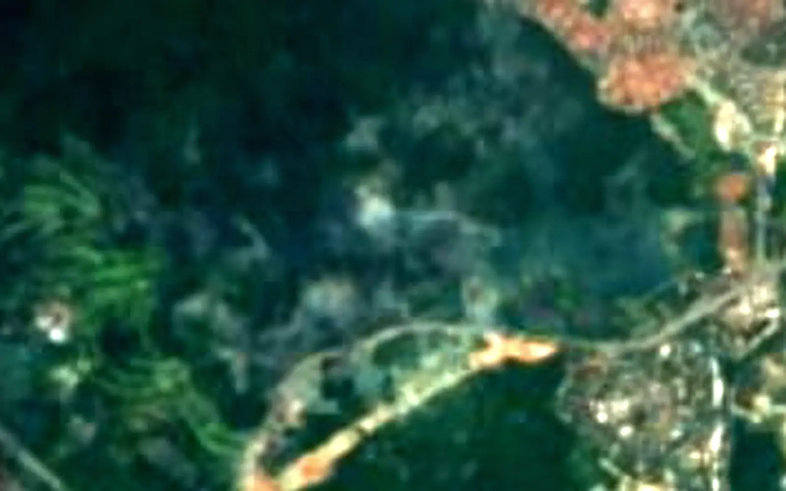 MacRitchie Reservoir seen from space (Sentinel-2)